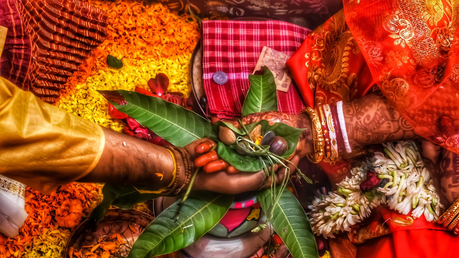 Donation Utilization